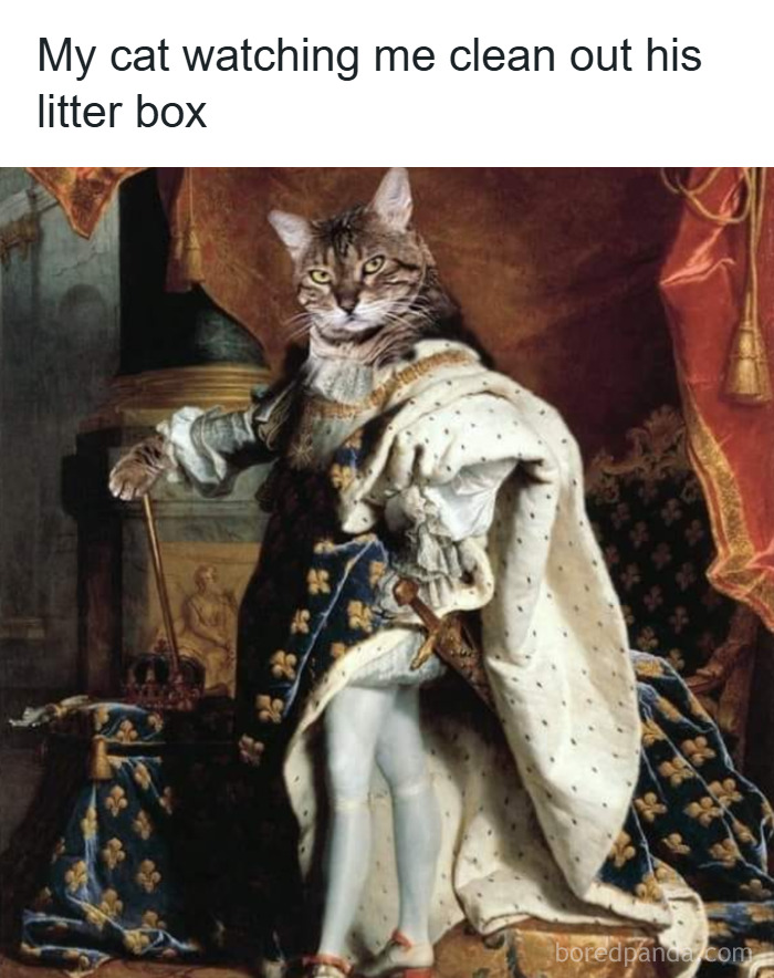 Cat's face edited onto a classical painting figure, humorously captioned as part of classical paintings meme collection.