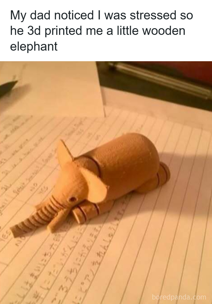 Animal-Humor-Pics-Animalxhumor