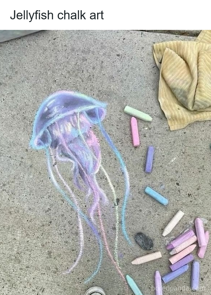 Animal-Humor-Pics-Animalxhumor