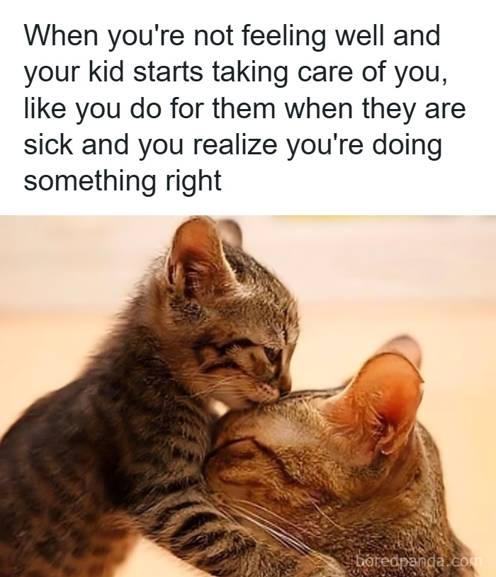 A kitten caring for an adult cat, capturing a relatable parenting moment in a heartwarming meme about parenting.