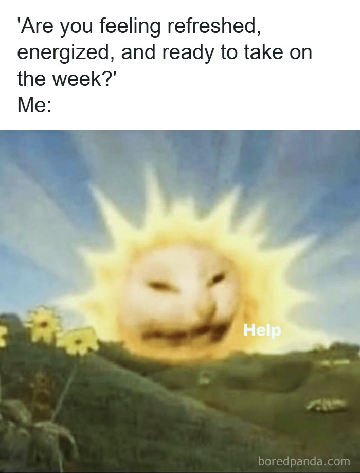 Sun with a distressed cat face in a field of flowers, a relatable meme about coping with anxiety.