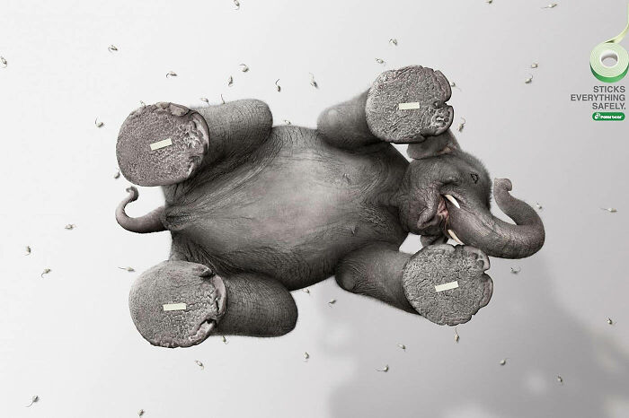 Elephant seen from below with sticky notes on its feet, creative ad campaign featuring elephants promoting strong adhesive.