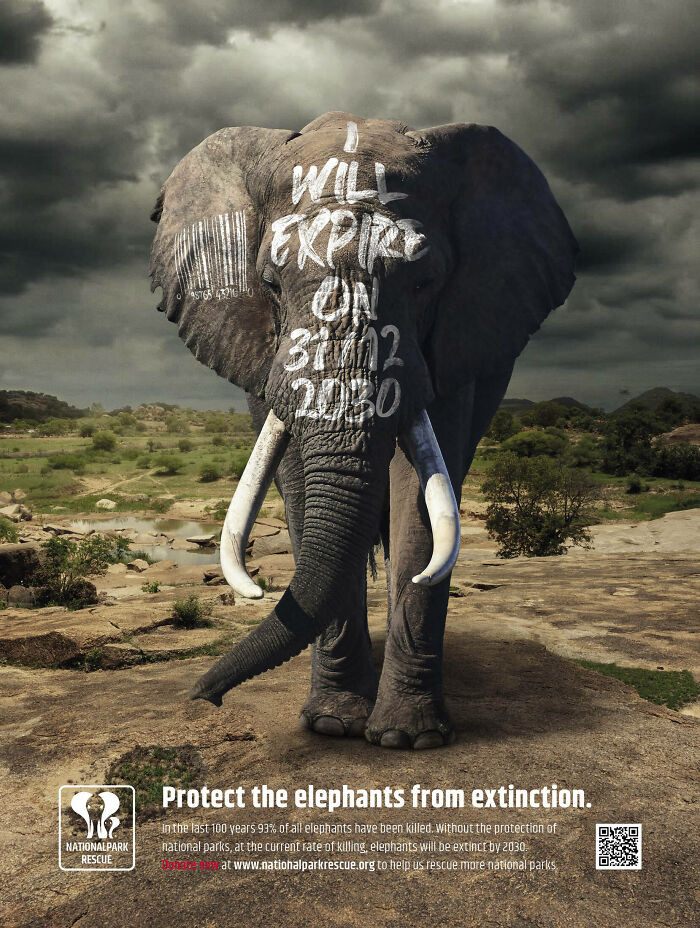 Elephant with expiration date painted on face in a powerful ad campaign raising awareness for elephant protection.