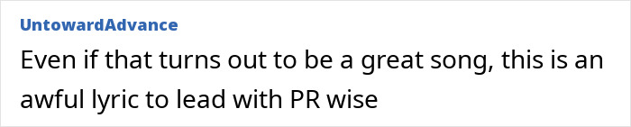 Screenshot of a comment criticizing the lyric as a poor PR choice sparked Taylor Swift tone deaf backlash online. Screenshot of a comment criticizing the lyric as a poor PR choice sparked Taylor Swift tone deaf backlash online.
