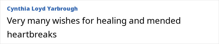 Comment expressing wishes for healing and mended heartbreaks after sister&rsquo;s emotional reaction to brother found alive