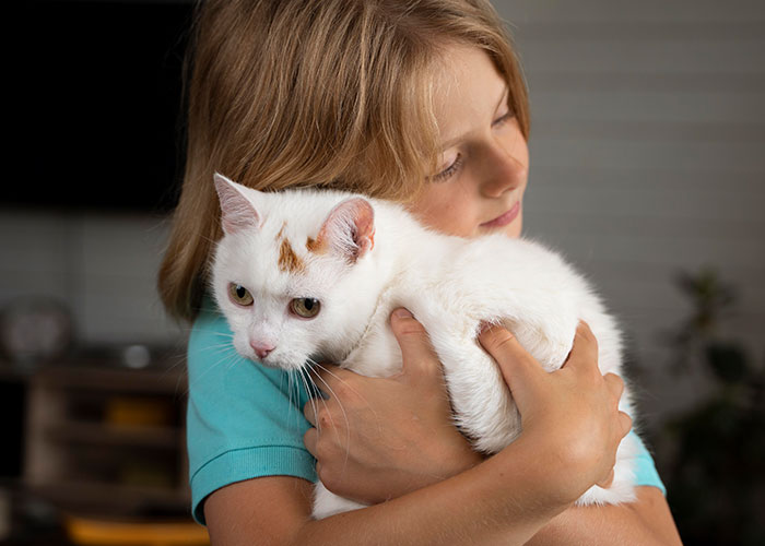 Child gently hugging a white cat, reflecting on childhood memories that make them cringe today.