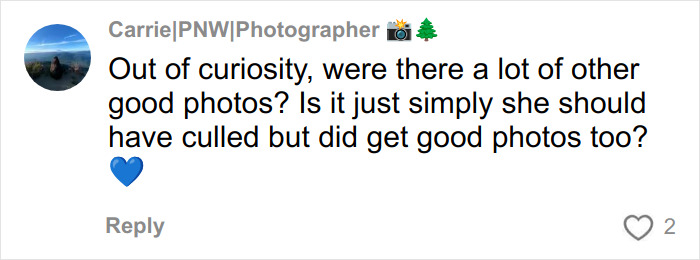 Comment asking if there were other good wedding photos and if some should have been culled despite good shots.