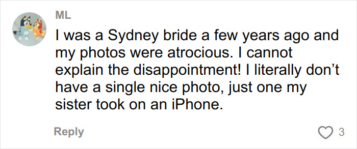 Comment from a bride sharing disappointment over horrible wedding pics despite hiring a well-known professional.