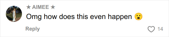 Comment from woman expressing shock about hiring a well-known professional for wedding pics gone wrong.