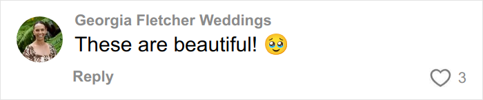 Comment from Georgia Fletcher Weddings praising wedding pictures as beautiful with a smiling profile photo.