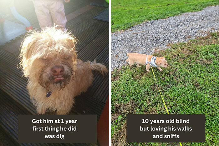 Got Him At 1 Years Old. Now He's 10