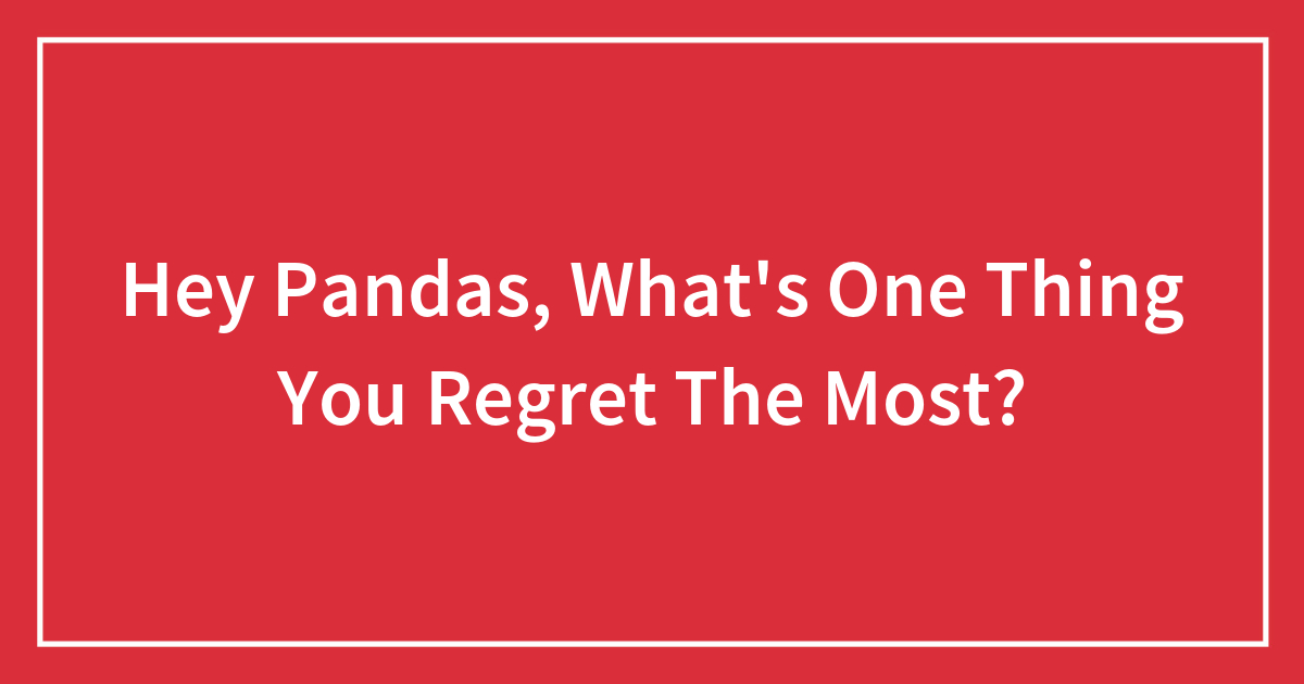 Hey Pandas, What’s One Thing You Regret The Most? Bored Panda