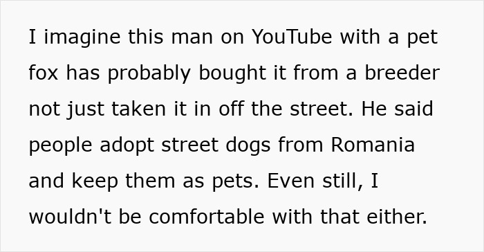 Text about a man talking about pet foxes, adoption, and concerns about keeping them as pets shared on YouTube.