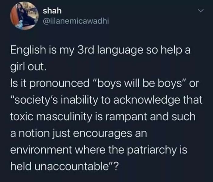 Social media post humorously questioning the phrase boys will be boys and toxic masculinity patriarchy.