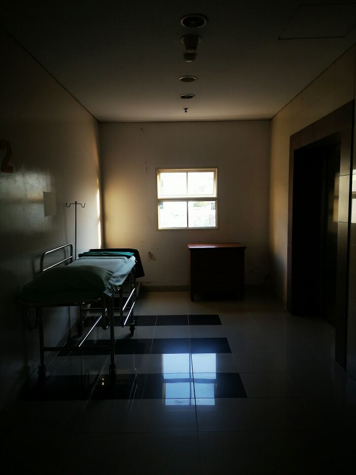 Dimly lit hospital corridor with an empty gurney and window casting shadows, evoking a true crime fan vibe.