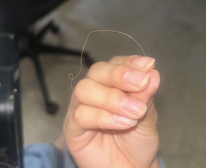 Hand holding a strand of hair found while cleaning, hinting at serial cheater caught red-handed evidence.