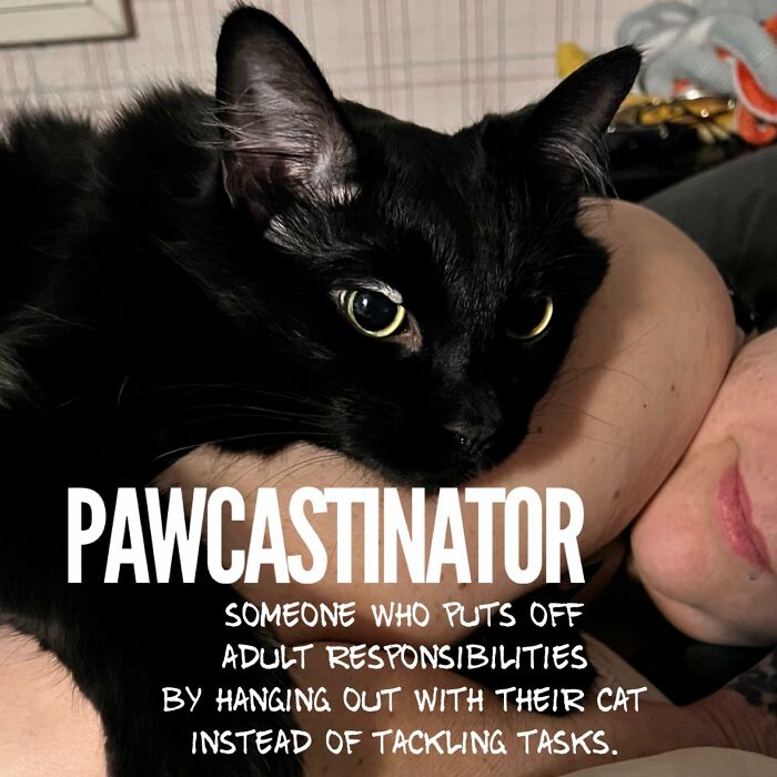 Black cat resting on a person's arm with a humorous cat meme about procrastination and cat companionship.