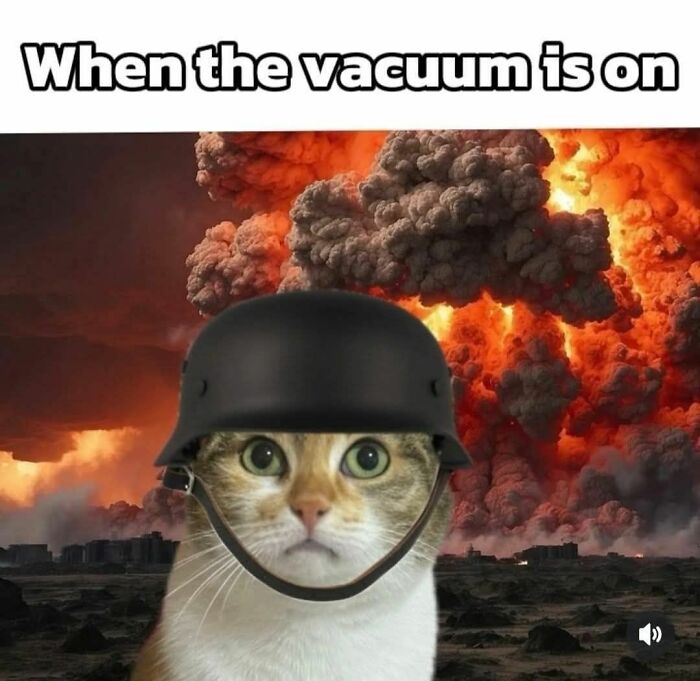 Cat meme showing a cat wearing a helmet with a dramatic explosion background, humorously reacting to a vacuum sound.
