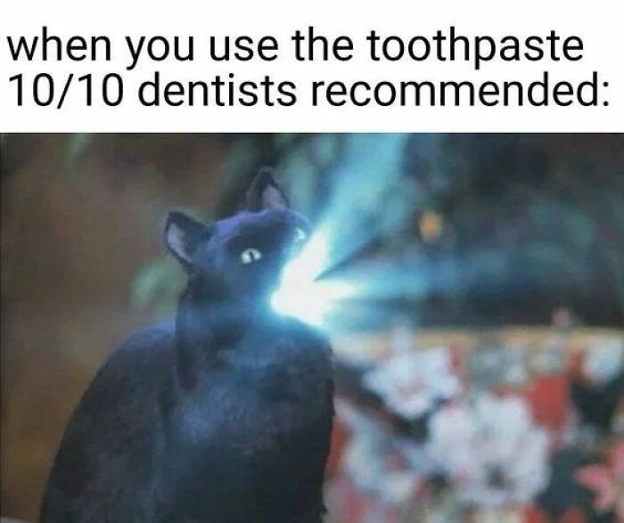 Black cat with bright light coming from its mouth, humorously illustrating recommended toothpaste use in cat memes.