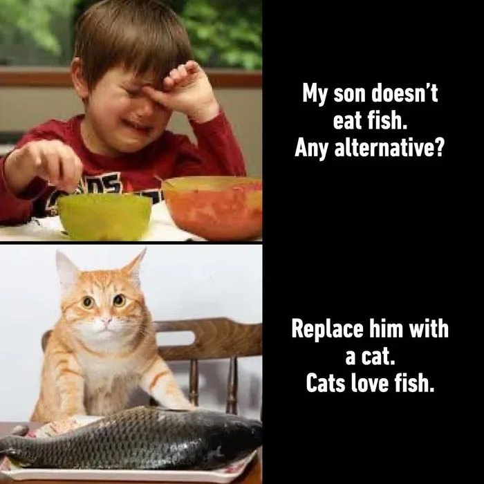 Crying boy refusing fish contrasted with a cat eagerly sitting beside a large fish, highlighting cat memes humor.