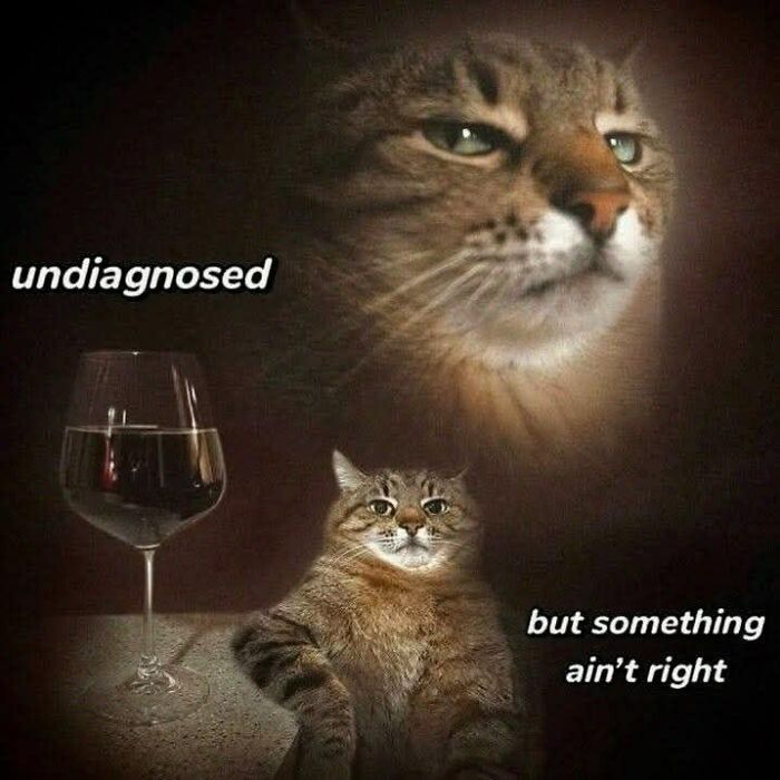 Cat meme featuring a contemplative cat next to a glass of wine with text about feeling undiagnosed but off.