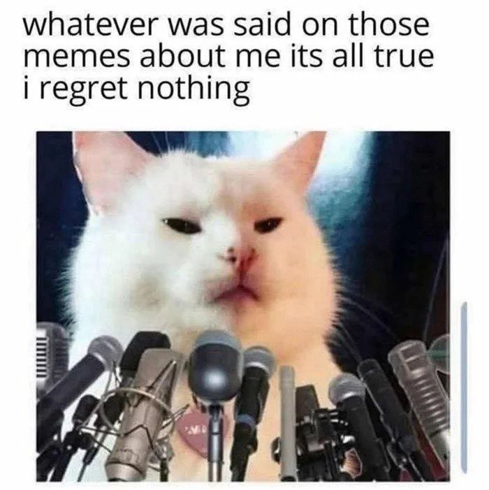 White cat appearing serious behind multiple microphones with text about memes, fitting popular cat memes content.