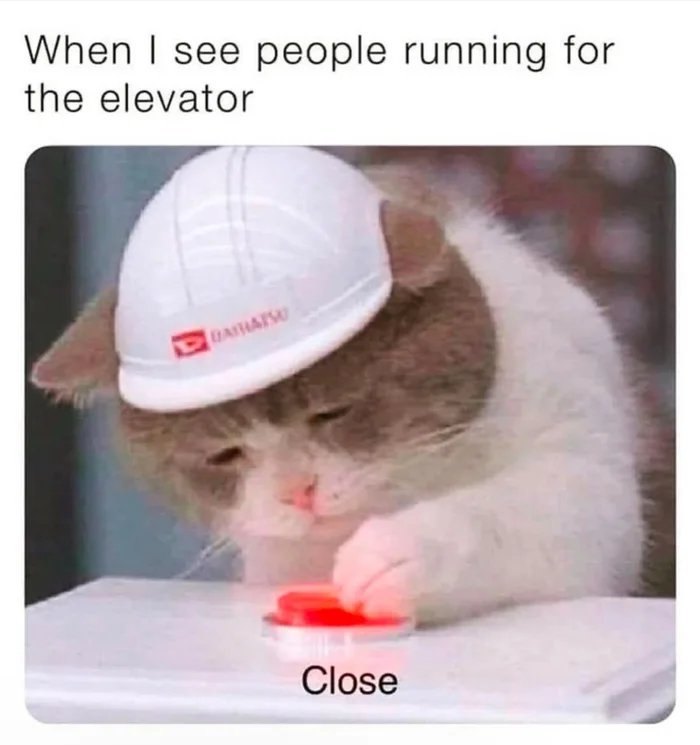 Cat wearing a hard hat pressing a red button with a caption about people running for the elevator in cat memes.