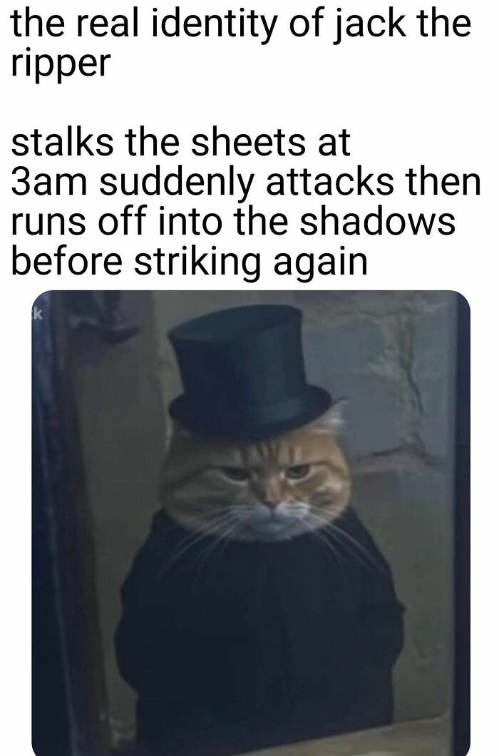 Cat meme showing a serious cat dressed as Jack the Ripper, humorously stalking sheets at 3am.
