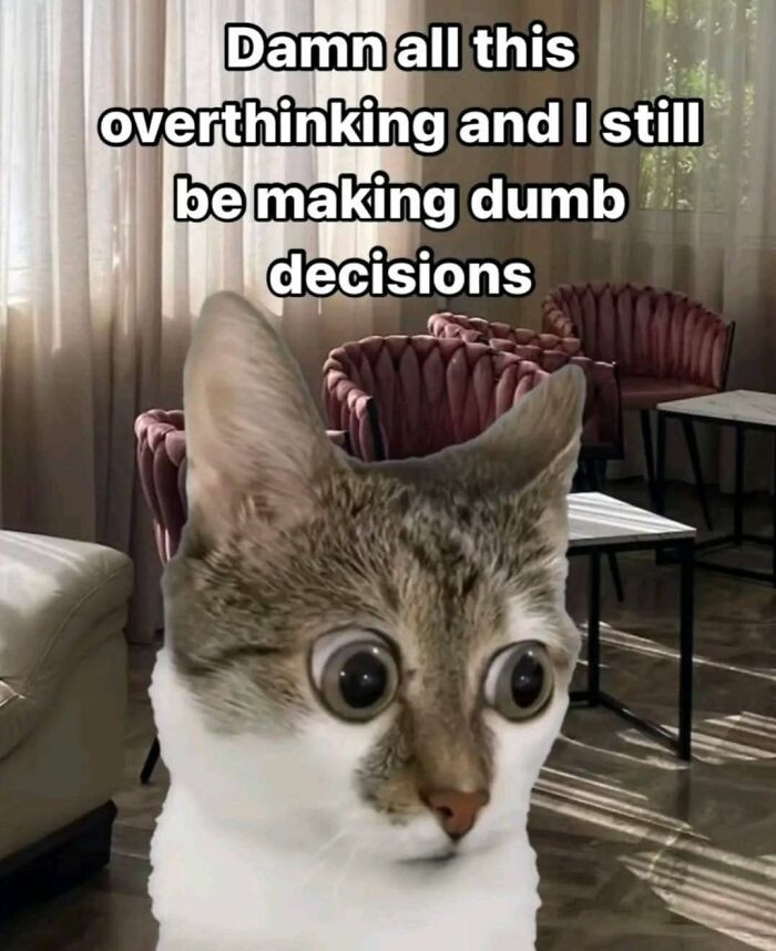 Cat meme featuring a cat with exaggerated wide eyes and humorous text about overthinking and dumb decisions.