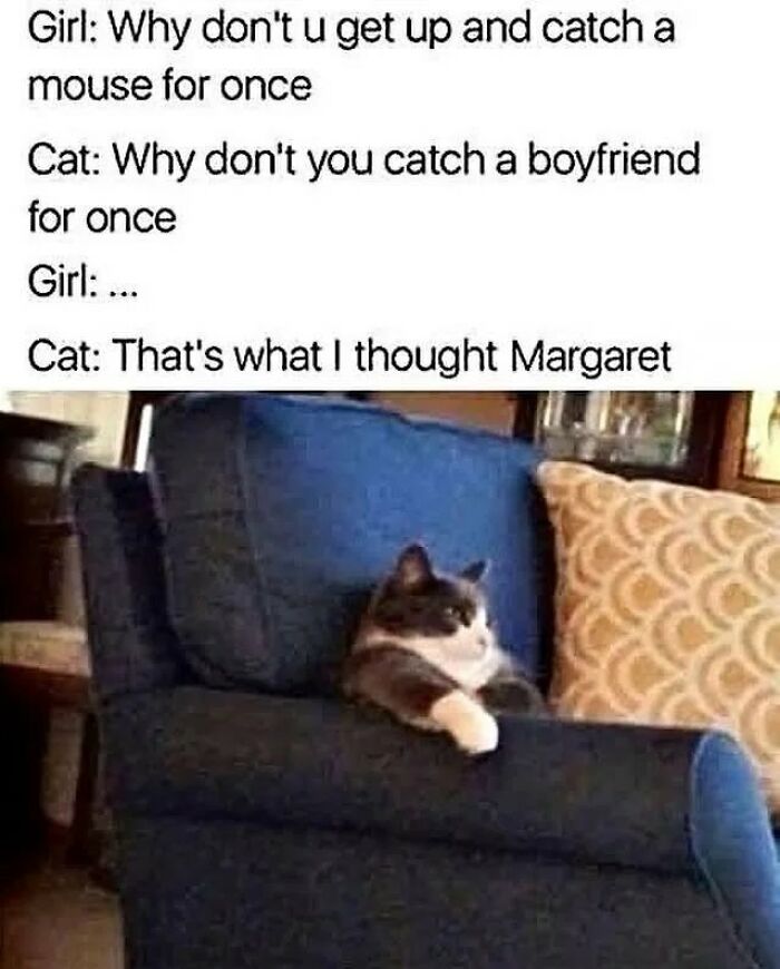 Cat meme showing a cat lounging on a chair with a humorous conversation about catching a mouse and a boyfriend.