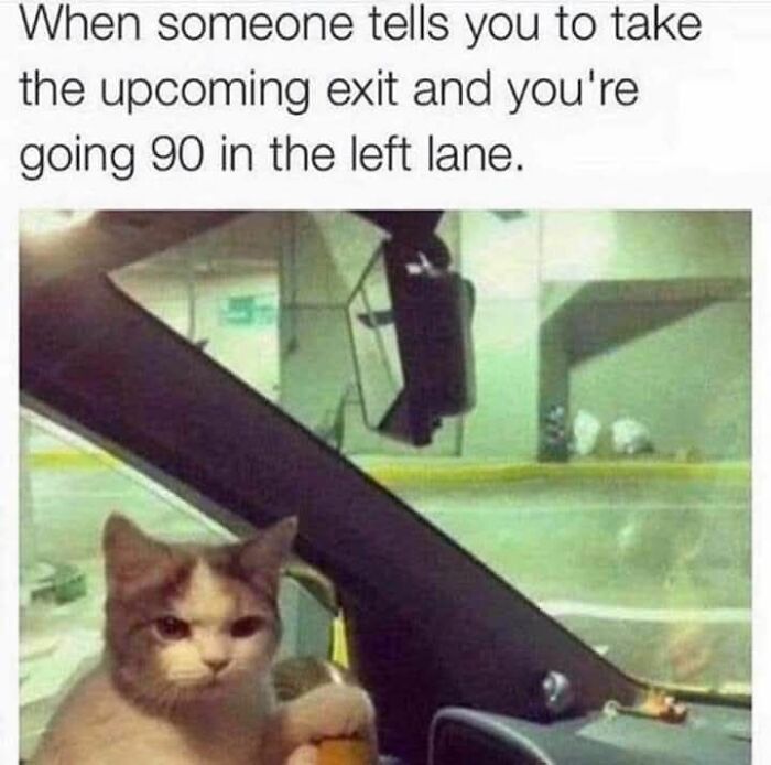 Grumpy cat driving a car with caption about taking an exit while going 90 in the left lane in a cat meme.