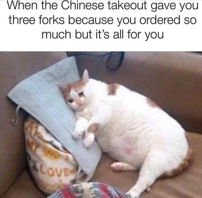 Funny cat meme showing a chubby cat lying on a couch looking content with humorous text about Chinese takeout forks.