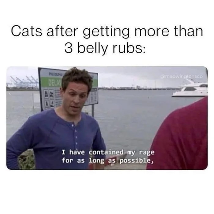 Man expressing contained rage outdoors by water, illustrating cat memes about cats and belly rubs humor.