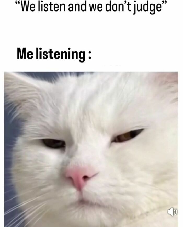 Close-up of a white cat with a skeptical expression, featured in a popular cat memes image for cat lovers.