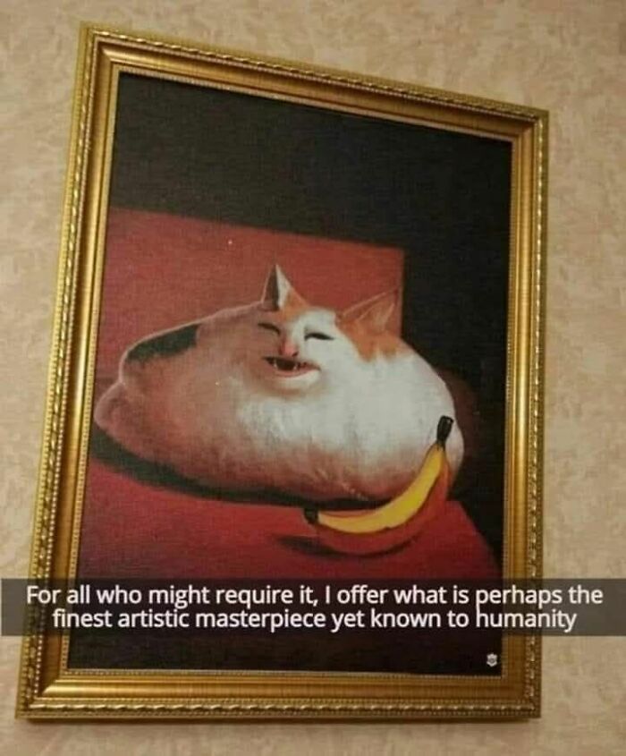 Framed cat meme artwork with a distorted cat face and a banana, representing humorous cat memes lovers enjoy.