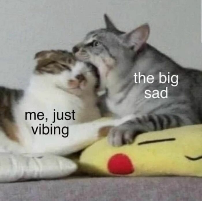 Two cats lying together with text labels me just vibing and the big sad in a funny cat memes style.