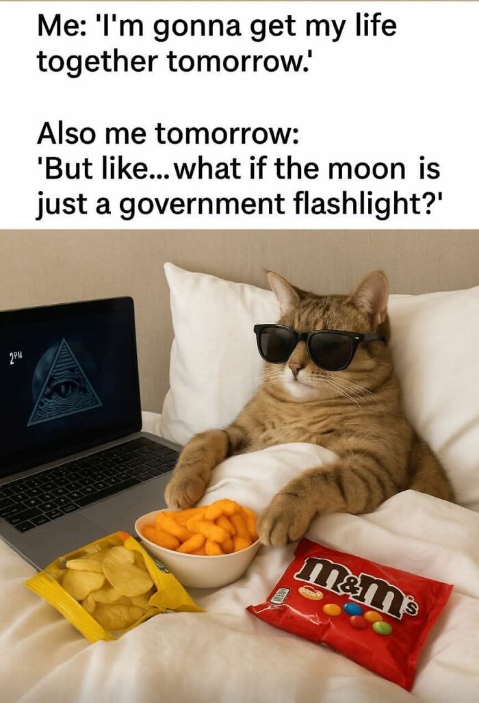 Tabby cat wearing sunglasses lying in bed with snacks and laptop, a humorous meme perfect for cat memes fans.