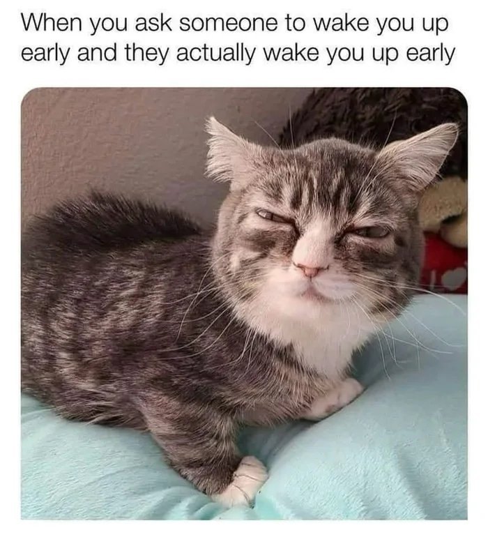 Grumpy cat resting on a pillow with a caption about waking up early in a funny cat meme.