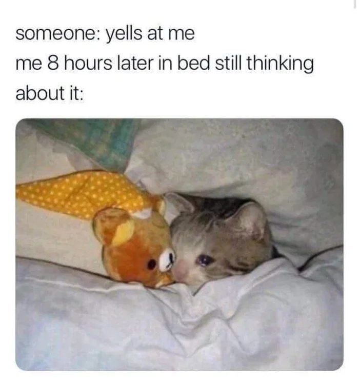 Cat meme showing a cat lying in bed with a stuffed animal, reflecting on being yelled at hours earlier.