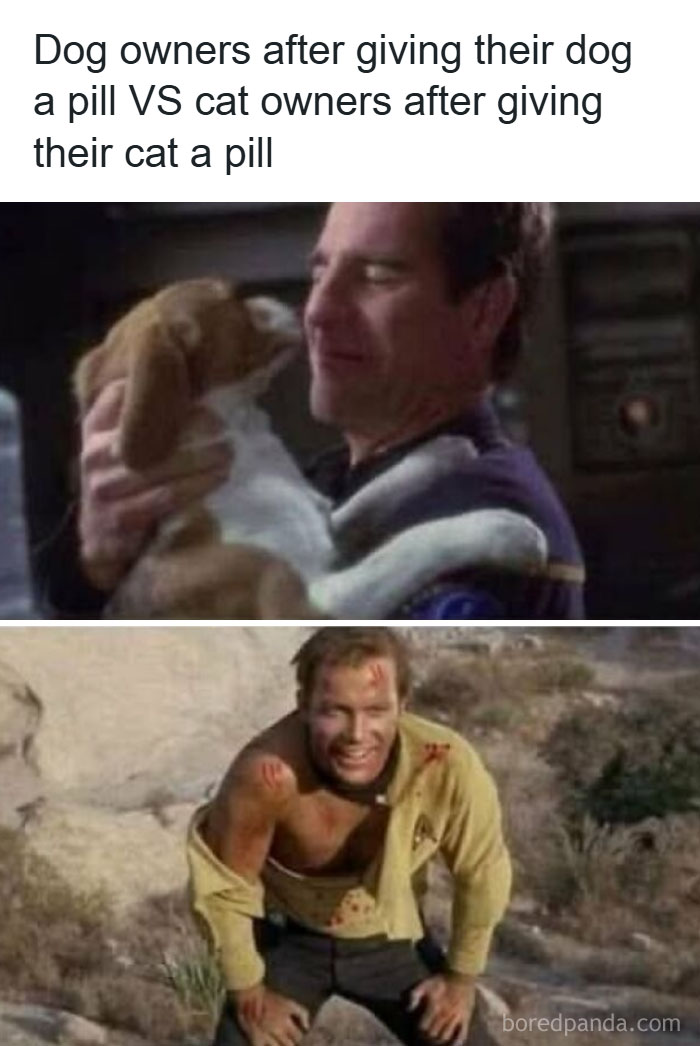 Dog owner hugging dog happily contrasted with injured man struggling outdoors, showcasing humor in cat memes about giving pills to cats.