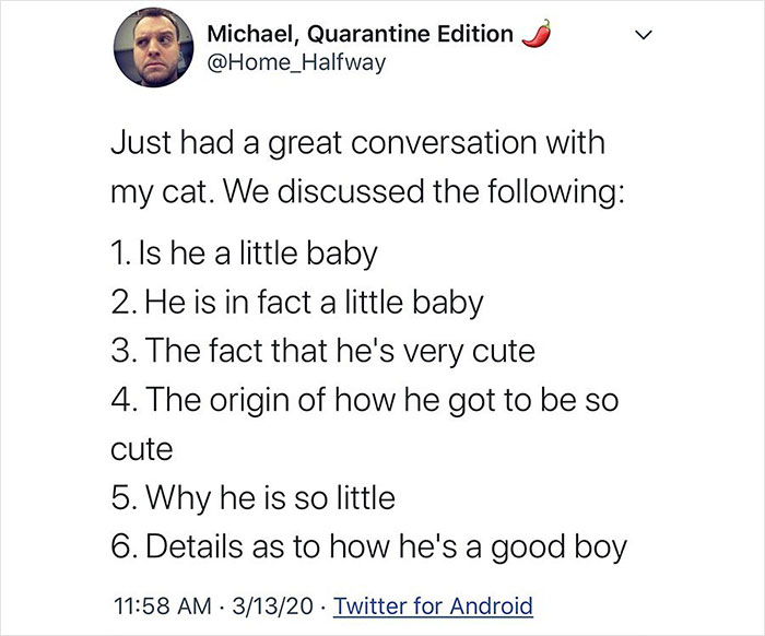 Tweet listing reasons why a cat is considered cute and a good boy, highlighting cat memes and cat-related humor.