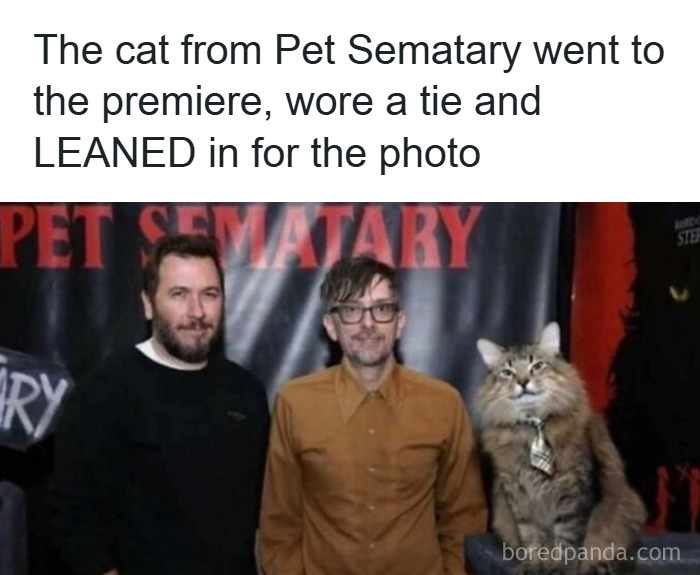 Cat meme featuring a cat from Pet Sematary wearing a tie, posing with two men at the movie premiere event.