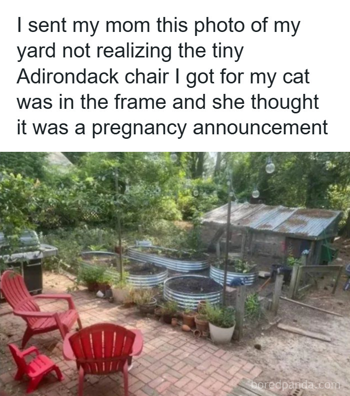 Yard photo with tiny Adirondack chair for cat, mistaken as a pregnancy announcement in a garden setting.