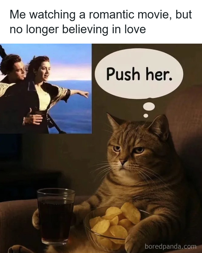 A cat watching a romantic movie with a bowl of chips and drink, thinking Push her, cat memes humor concept.