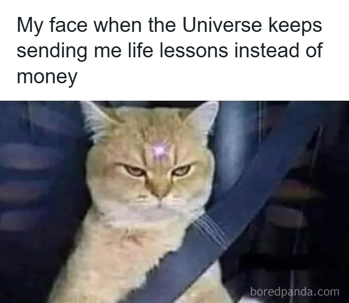 Grumpy cat meme with a glowing forehead and caption about life lessons, perfect for cat memes fans.