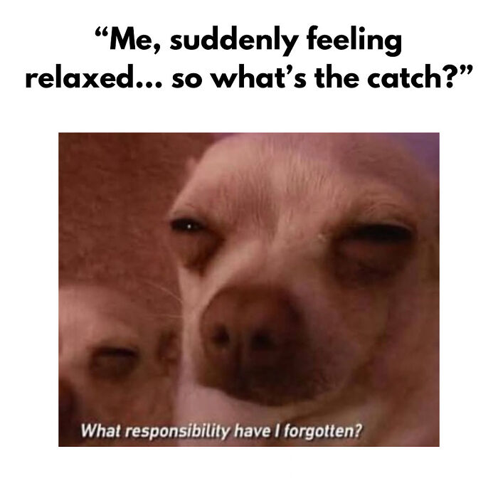 Dog squinting with caption about suddenly feeling relaxed and questioning forgotten responsibilities, relatable anxiety meme.