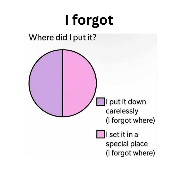 Pie chart showing two equal reasons for forgetting something, highlighting relatable anxiety coping memes.