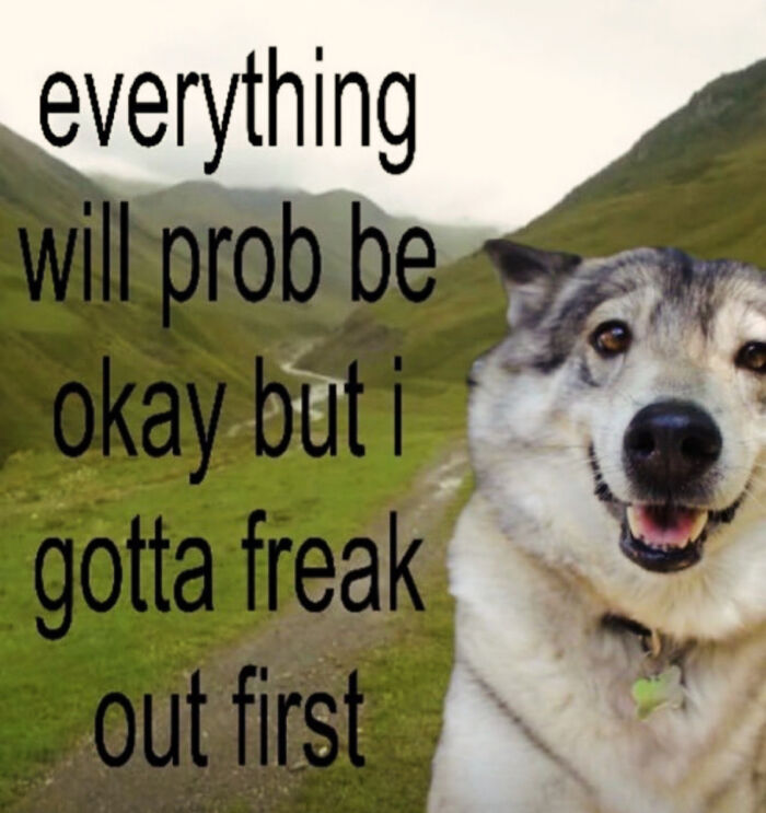 Smiling dog with anxious meme text about freaking out first, illustrating relatable anxiety coping moments in nature.