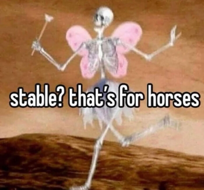 Skeleton wearing fairy wings and tutu, holding wand, with text about feeling stable for anxiety coping memes.