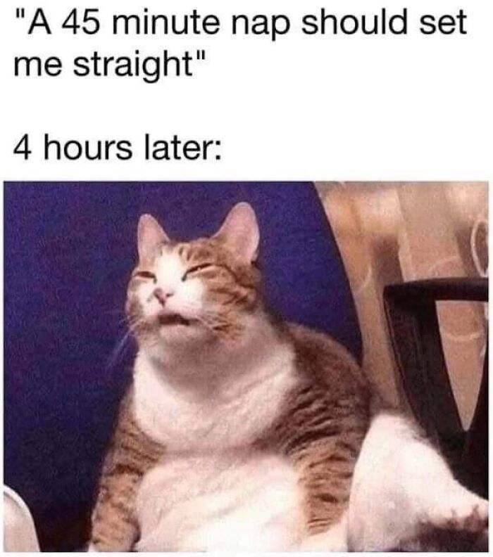 Sleepy cat with funny expression illustrating relatable memes to help cope with anxiety and stress humorously